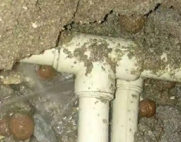 城子河测漏水多少钱