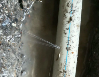 城子河测漏水哪家好