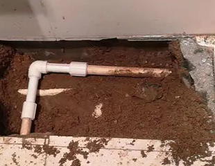 城子河测漏水哪家好