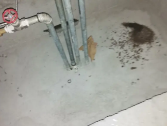 城子河卫生间测漏水价格明细