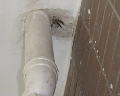 城子河漏水检测哪家好